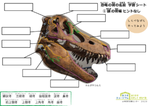 おうちミュージアム