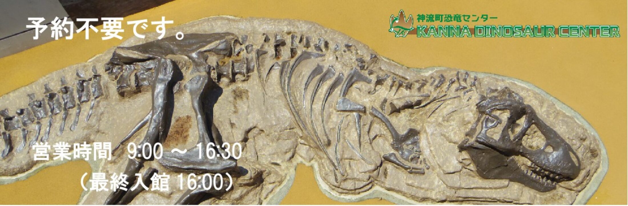 神流町恐竜センター 恐竜骨格の展示や化石発掘体験ができる