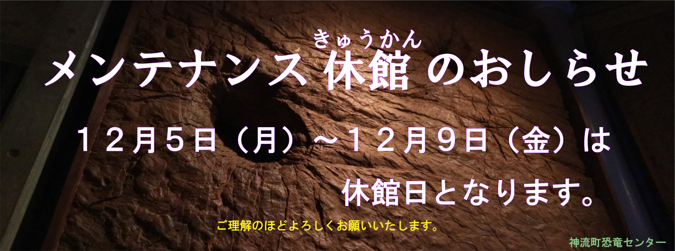 神流町恐竜センター 恐竜骨格の展示や化石発掘体験ができる